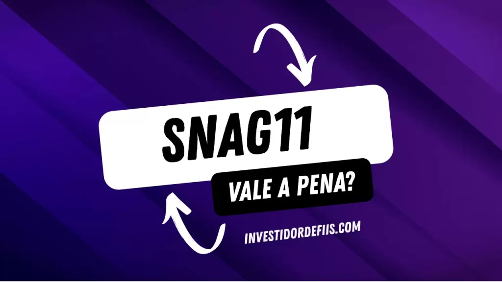 SNAG11 vale a pena?