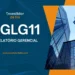 hglg relatório gerencial