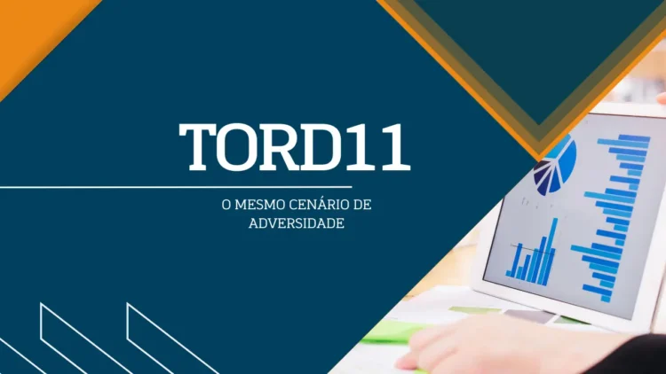 Tord11 dividendos