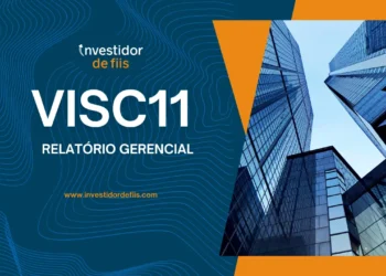 Visc11 Relatório gerencial
