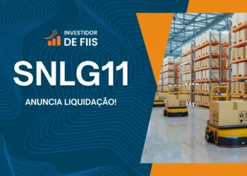 SNLG11 liquidação