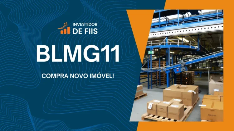 BLMG11 fundo